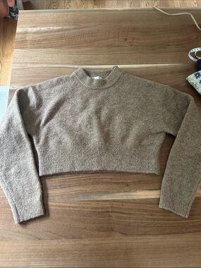 Zara Cropped Crewneck Sweater in Taupe